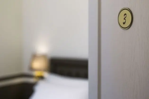 Deluxe Tek Büyük Yataklı Oda (King, No Balcony)