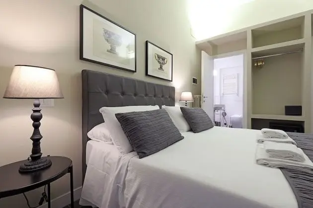 Superior Tek Büyük Yataklı Oda, Banyolu/Duşlu