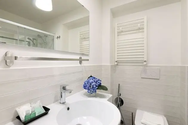 Superior Tek Büyük Yataklı Oda, Banyolu/Duşlu