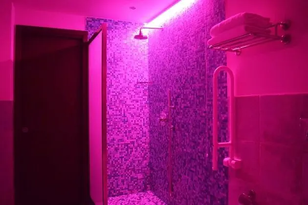 Superior Tek Büyük veya İki Ayrı Yataklı Oda (chromotherapy shower)