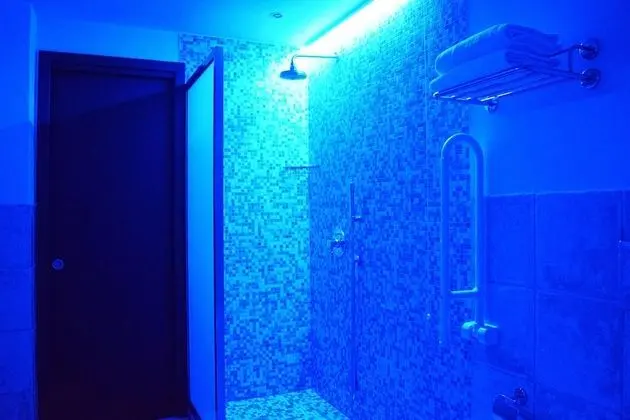 Superior Tek Büyük veya İki Ayrı Yataklı Oda (chromotherapy shower)