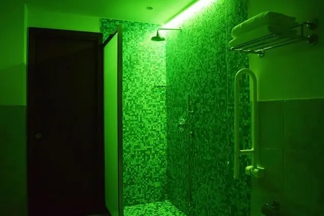Superior Tek Büyük veya İki Ayrı Yataklı Oda (chromotherapy shower)