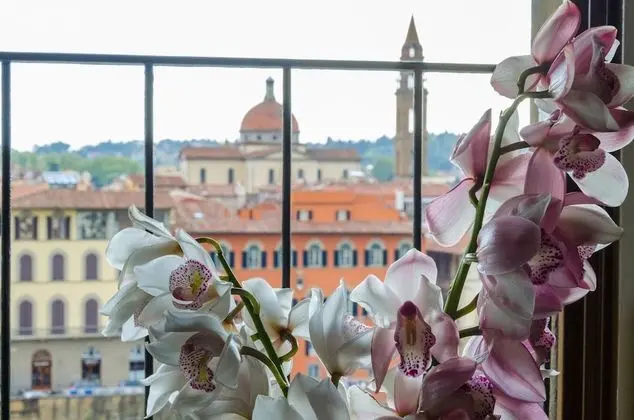 Junior Süit (Private Hammam)