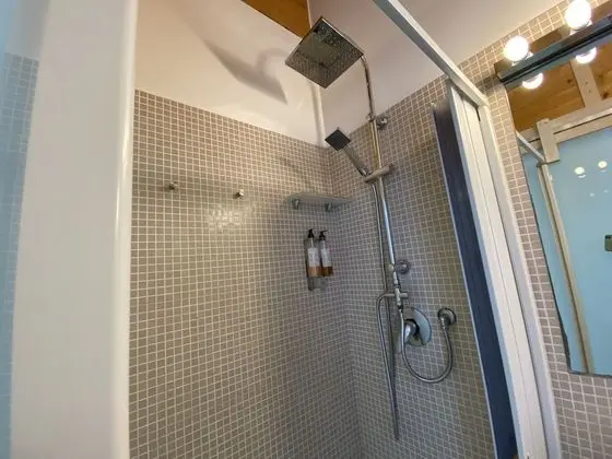 Standard Tek Büyük Yataklı Oda, 1 Çift Kişilik Yatak