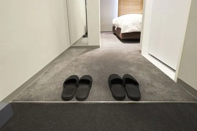 Büyük Yataklı Tek Kişilik Oda, Sigara İçilmez (Moderate, No Housekeeping)