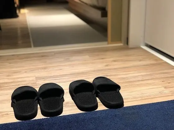 Superior İki Ayrı Yataklı Oda, Sigara İçilmez (Check-In/Out: 1pm, 24h Stay Plan)