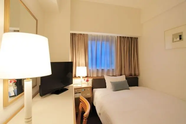 Economy Tek Büyük Yataklı Oda, Sigara İçilmez (Semi-double Room)