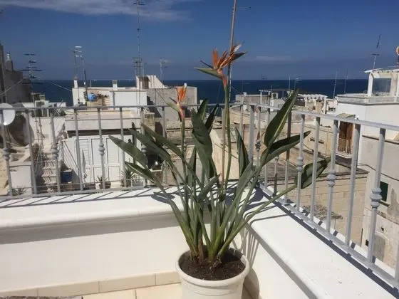Junior Suit Sea View With Terrace