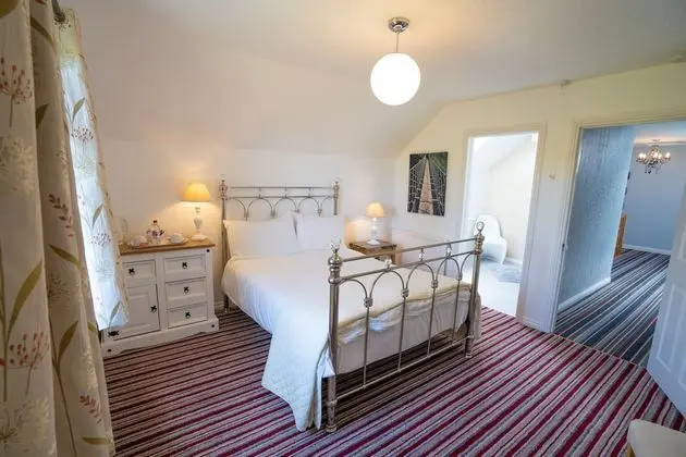 Tek Büyük Yataklı Oda, Banyolu/Duşlu (Room 1)