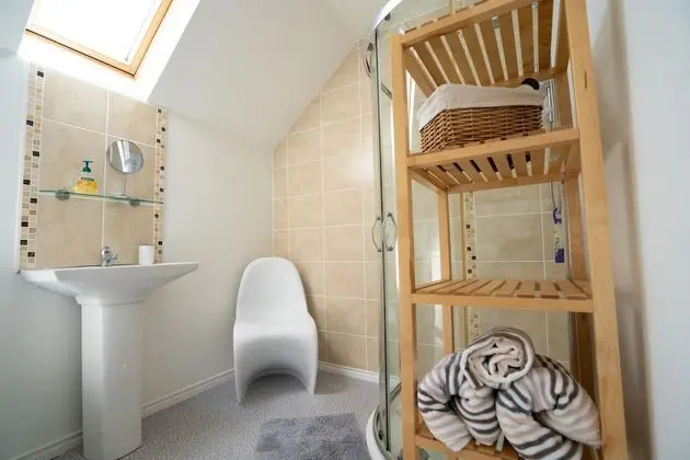 Tek Büyük Yataklı Oda, Banyolu/Duşlu (Room 1)