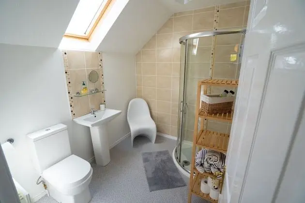 Tek Büyük Yataklı Oda, Banyolu/Duşlu (Room 1)