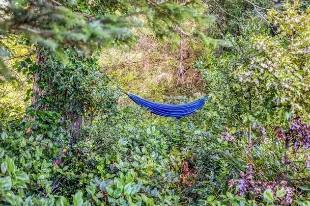 Ev, Birden Çok Yatak (Rest Ashore)