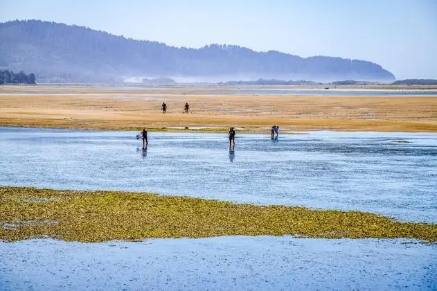 Ev, Birden Çok Yatak (Rest Ashore)
