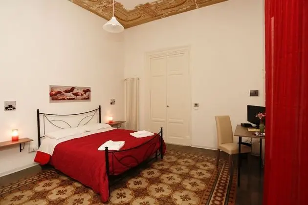 Basic Tek Büyük Yataklı Oda, Banyolu/Duşlu
