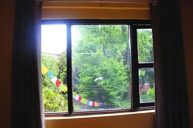 Family Oda, Birden Çok Yatak