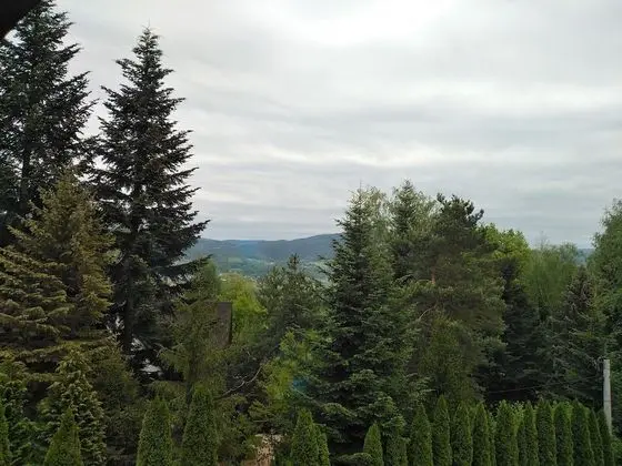 Family Üç Kişilik Oda, 3 Tek Kişilik Yatak