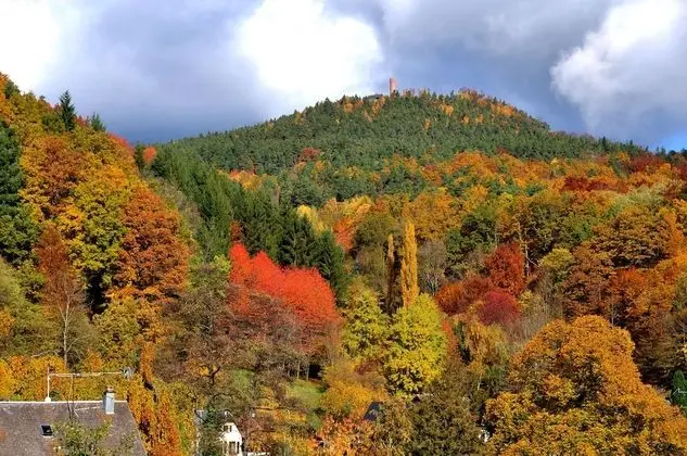 Classic Tek Kişilik Oda, Vadi Manzaralı