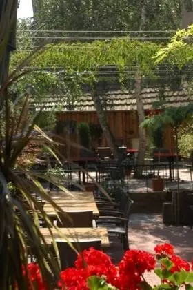 Comfort Dört Kişilik Oda