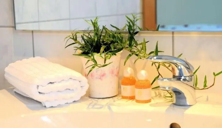 Deluxe Büyük Yataklı Tek Kişilik Oda