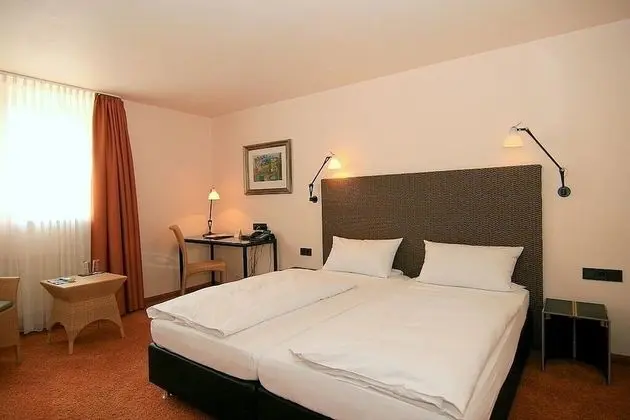 Standard Tek Büyük Yataklı Oda (Scheune)