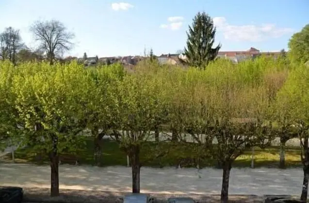 Tek Büyük veya İki Ayrı Yataklı Oda, Park Manzaralı