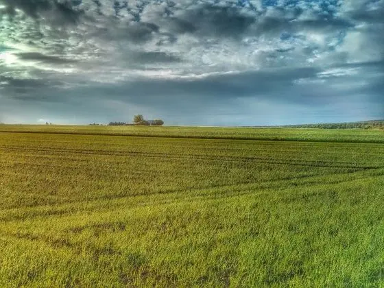 Comfort Tek Büyük Yataklı Oda, Engellilere Uygun, Sigara İçilmez