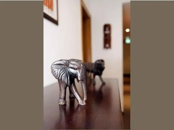 Comfort Tek Büyük Yataklı Oda, Banyolu/Duşlu (Afrika)