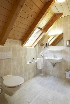 Comfort Tek Büyük Yataklı Oda (Bergblick)