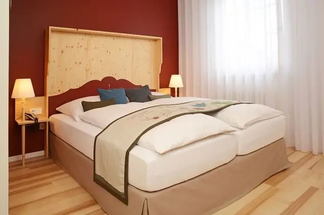 Tek Büyük Yataklı Oda (Klosterhof)