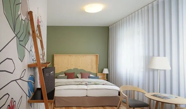 Tek Büyük Yataklı Oda (Klosterhof)