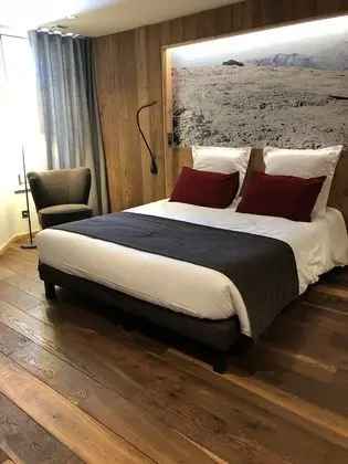 Premium Tek Büyük Yataklı Oda, 1 Büyük (Queen) Boy Yatak