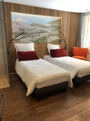 Premium Tek Büyük Yataklı Oda, 1 Büyük (Queen) Boy Yatak