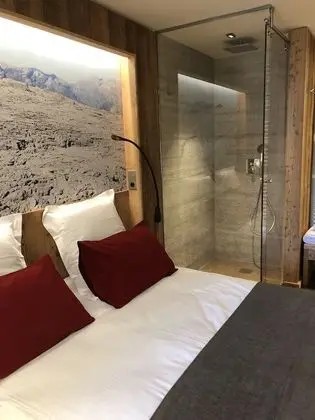 Premium Tek Büyük Yataklı Oda, 1 Büyük (Queen) Boy Yatak
