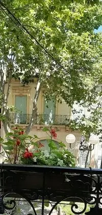 Tek Büyük Yataklı Oda, 1 Çift Kişilik Yatak, Sigara İçilmez