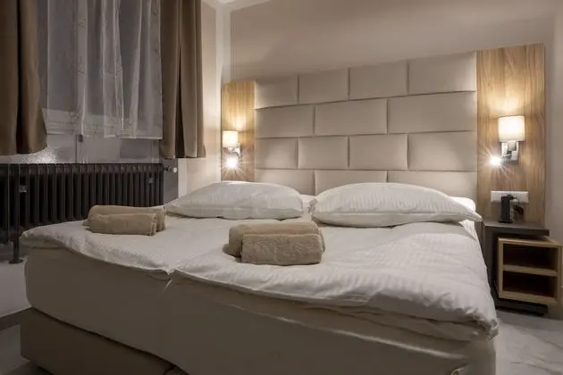 Basic Tek Büyük veya İki Ayrı Yataklı Oda (Annex)