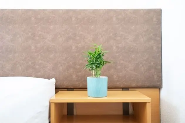 Comfort Tek Kişilik Oda