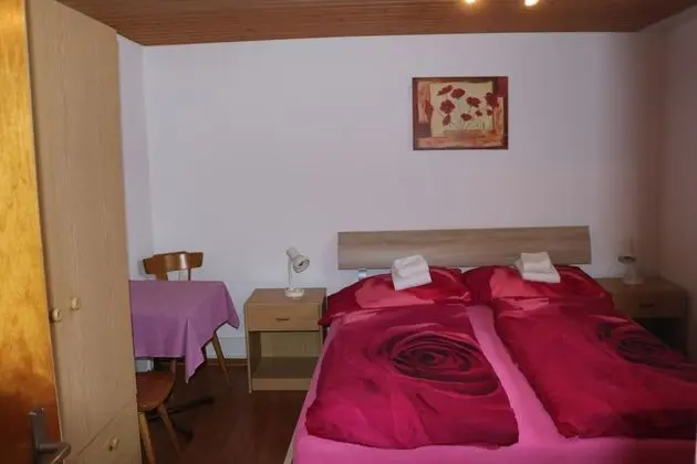 Standard Tek Büyük Yataklı Oda, 1 Çift Kişilik Yatak, Ortak Banyo, Vadi Manzaralı