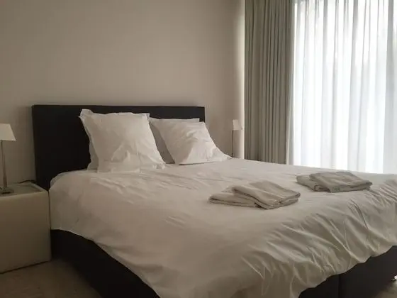 Standard Tek Büyük Yataklı Oda, 1 Büyük (Queen) Boy Yatak, Nehir Manzaralı