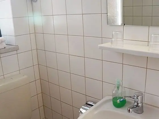Tek Büyük Yataklı Oda, Banyolu/Duşlu (SND_DBL)