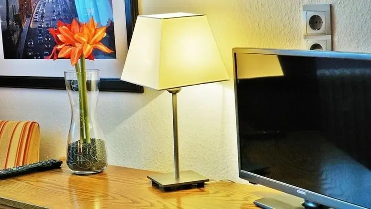 Standard Tek Büyük Yataklı Oda, Özel Banyo (1)