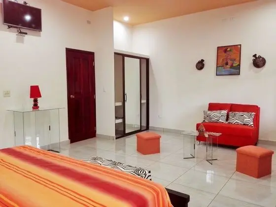Executive Süit, 1 En Büyük (King) Boy Yatak, Sigara İçilmez