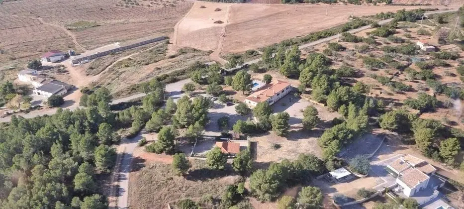 Tek Büyük Yataklı Oda, Bahçe Manzaralı