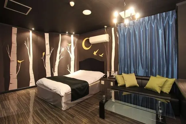 Deluxe Tek Büyük Yataklı Oda, Sigara İçilebilir