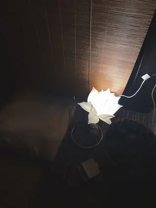 Ev