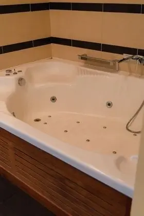 Premium Suite with Private Pool and Private Garden