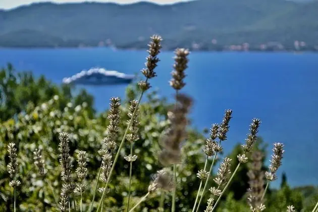 Villa, 5 Yatak Odası, Şömine