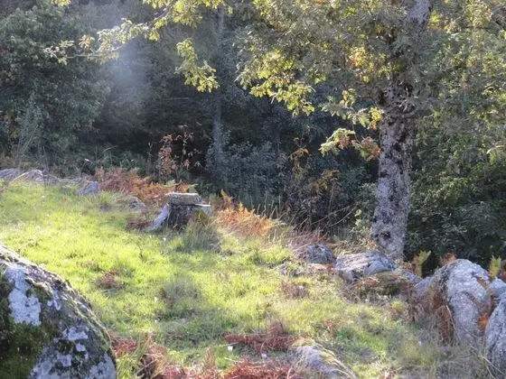 Ortak Ranzalı Oda, 1 Yatak Odası, Buzdolabı