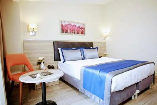 Standart Oda,Şehir Manzaralı,Fransız Balkonlu