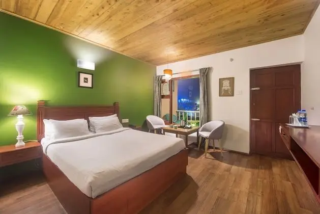 Deluxe Oda, 1 Yatak Odası, Şehir Manzaralı