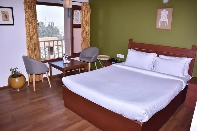 Deluxe Oda, 1 Yatak Odası, Şehir Manzaralı